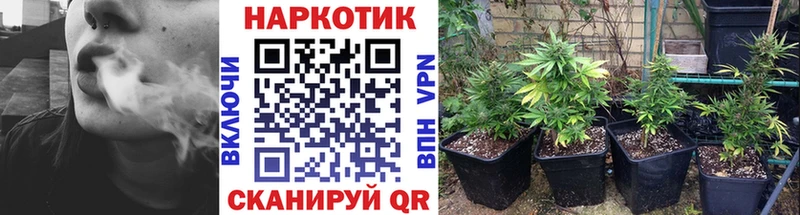 Виды наркоты Барыш Кокаин  Альфа ПВП  Меф  АМФЕТАМИН  Конопля  Гашиш 