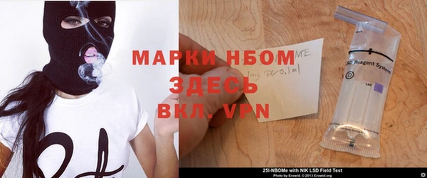 ГАЛЛЮЦИНОГЕННЫЕ ГРИБЫ Покров