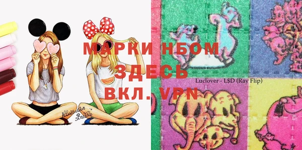 ГАЛЛЮЦИНОГЕННЫЕ ГРИБЫ Покров