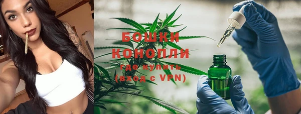 ГАЛЛЮЦИНОГЕННЫЕ ГРИБЫ Покров