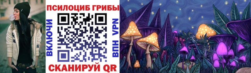 Псилоцибиновые грибы ЛСД  купить закладку  Барыш 